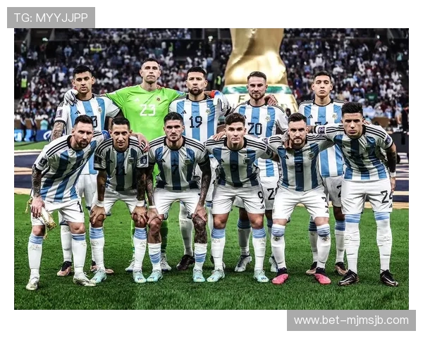 世界杯足球国家队排名最新更新，详细解析各国队伍实力与排名变化趋势