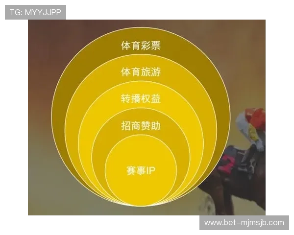 B体育app登录入口最新指南帮助用户顺利进入平台体验优质体育赛事直播